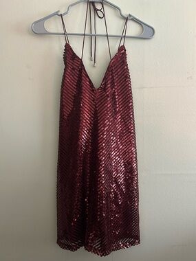 Tobi Sequined Mini Dress in Burgundy